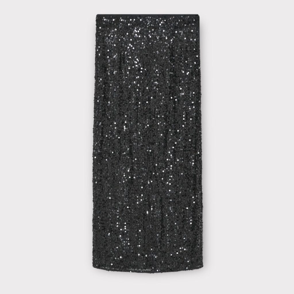 day tulli skirt shimmering night